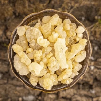 Palo Santo Eritrea First Choice Weihrauch – 25 g Premium Harz (Boswellia papyrifera)