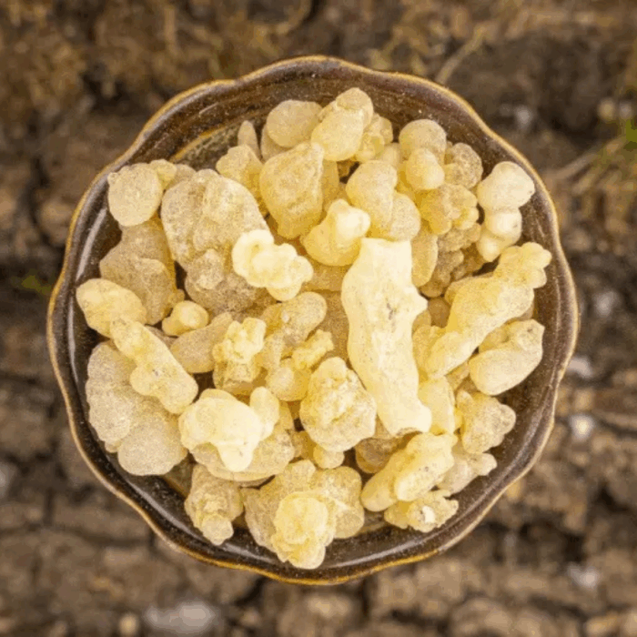 Palo Santo Eritrea First Choice Weihrauch – 25 g Premium Harz (Boswellia papyrifera) – Bild 1